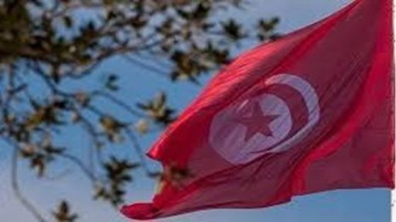 ما هي توقعات صندوق النقد الدولي للاقتصاد التونسي؟