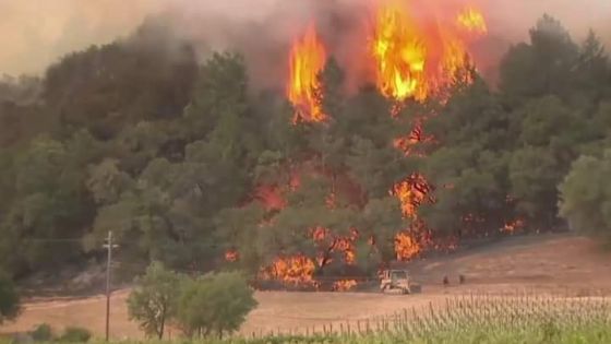 اليونان: إجلاء 6 قرى جراء حرائق الغابات