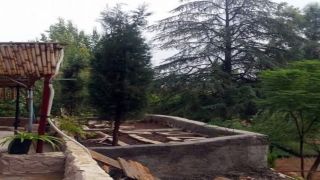 جرش: مشتل عين جملا إرث زراعي وبيئي يستأنف دوره في دعم التحريج