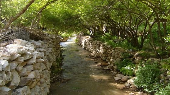 الأمطار تنعش ينابيع المملكة وتفتح نافذة أمل للأمن المائي والزراعي