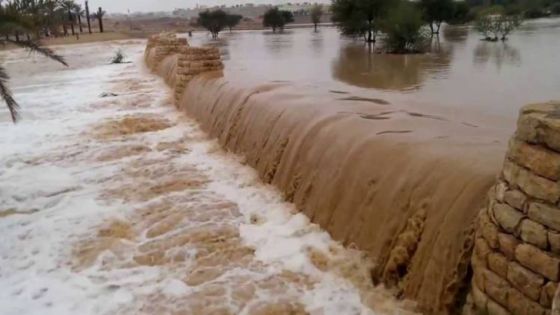 أجواء ماطرة في أغلب مناطق الأردن نهاية الأسبوع