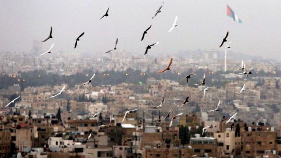 انخفاض ملحوظ على درجات الحرارة في الأردن منتصف الأسبوع المقبل