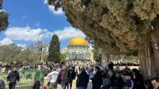 مشهد يُشبه العيد .. تفاعل واسع مع عودة صلاة الجمعة في المسجد الأقصى