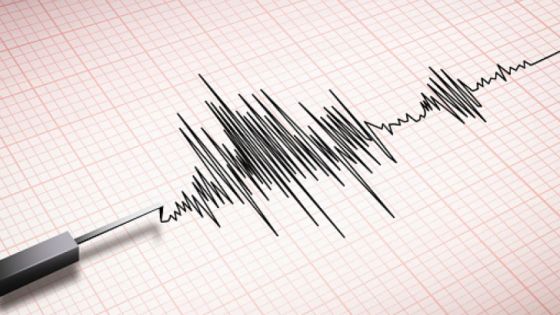 هزة أرضية بقوة 4.40 درجة على مقياس ريختر وسط البحر الأحمر