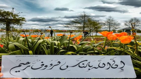 بوح مسن صامت …الكاتبة ردينة قرالة