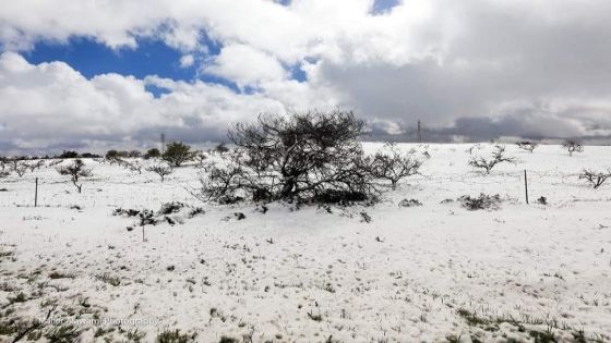 مندوب وطنا اليوم في ليبيا تساقط الثلوج بكثافة لأول مرة في ليبيا