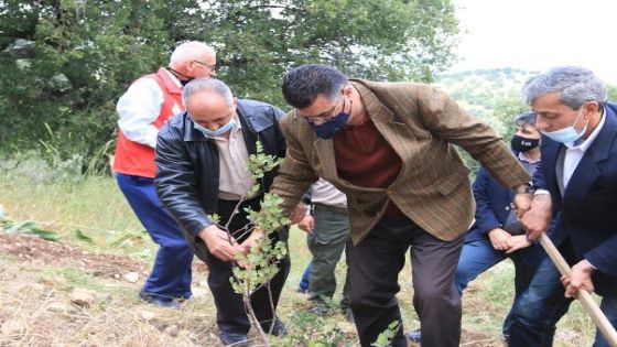 برعاية وزير الزراعة انطلاق حملة مبادرة جدارا ” أشجارنا مستقبلنا”