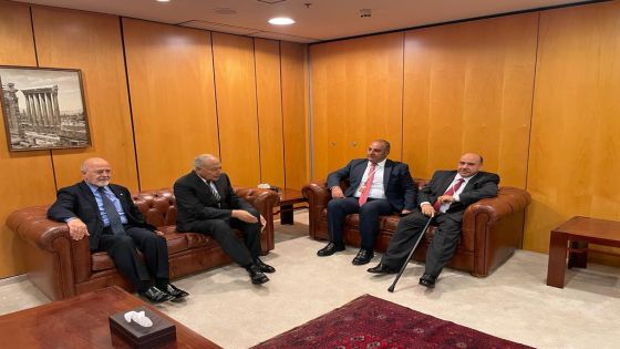 الشواربة يلتقي امين عام جامعة الدول العربية