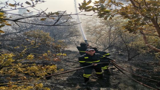 محافظ جرش: نرجح أن يكون حريق الغابات بين جرش وعجلون قد بدأ بفعل فاعل أو بشكل غير مقصود من قبل المتنزهين