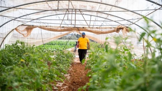الزراعة تطلق حملة توعوية للزراعات العضوية في الأردن