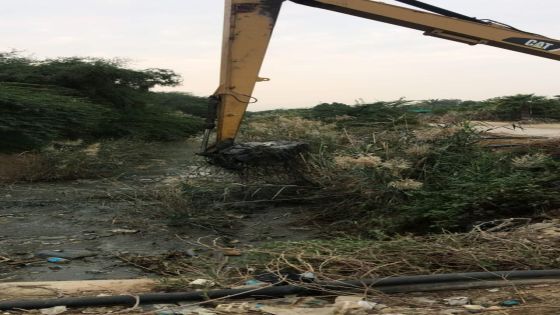 استمرار اعمال تنظيف قناة الملك عبد الله من الطمي والرسوبيات وبقايا الاشجار والاعشاب النامية على جوانب القناة