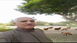 قصة نجاح || خم دجاج من دون لجنة وزارية