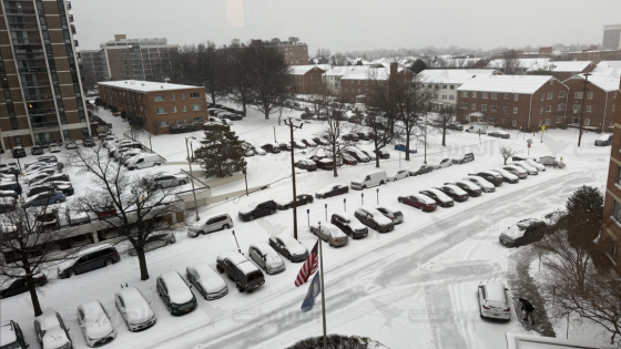 أمريكا في قبضة الجليد .. انقطاعات كهربائية مليونية و شلل تام للحركة