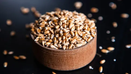 الحكومة تخفض أسعار الطحين والقمح رغم ارتفاعها عالمياً