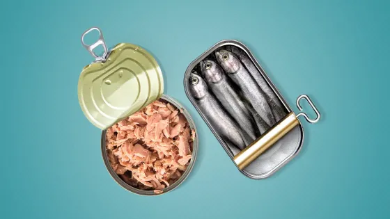 السردين أم التونة .. أيهما أغنى بأحماض أوميغا-3 والبروتين؟