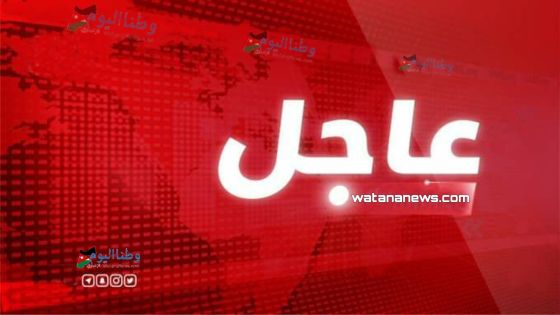 إلقاء القبض على اربعة أشخاص قاوموا رجال الامن العام أثناء حملة امنية في محافظة معان
