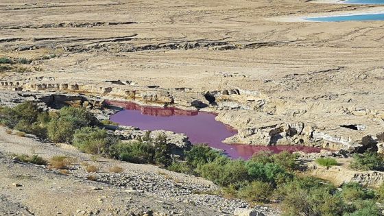 محاسنة: الاقتراب من المياه الحمراء بالبحر الميت خطر جداً
