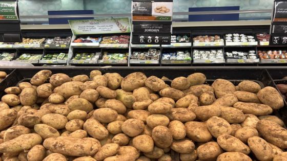 السوق القطري يبدأ باستيراد البطاطا من الأردن بكميات كبيرة