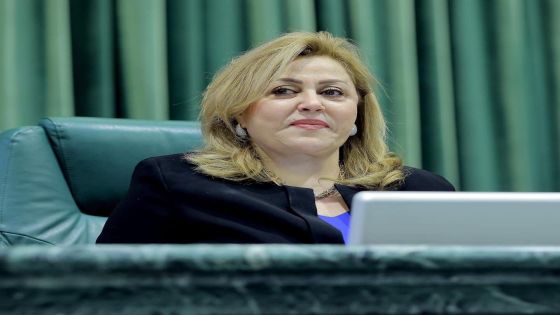 نفاع : هجوم خسيس على الأردن.. والرد بالأرقام والكرامة