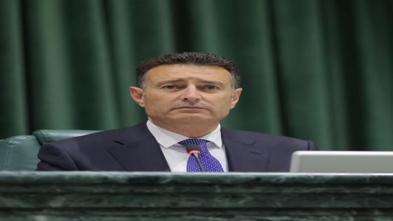الصفدي يهنىء الملك وولي العهد بالعام الهجري الجديد