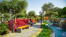 جامعة البترا تتقدم عالميًا وتحتل المرتبة الرابعة محليًا في تصنيف “جرين ميترك” للاستدامة