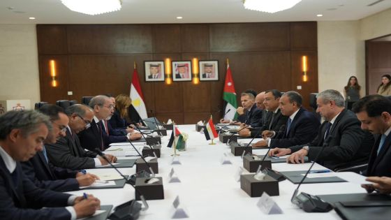 الأردن ومصر يدعمان أيّ خطوات عربية لمواجهة الاعتداءات الإيرانية