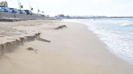 انحسار مياه البحر وظهور شواطئ رملية بالإسكندرية يثير القلق