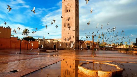 المغرب يمدد إغلاق الحدود حتى نهاية العام