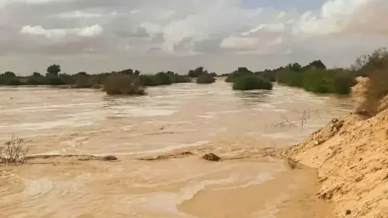 الإدارة المحلية تحذر من أمطار رعدية وغبار في المناطق الشرقية والجنوبية