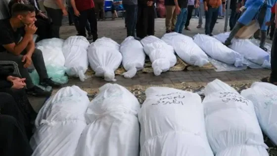 25 شهيدا خلال 24 ساعة في غزة