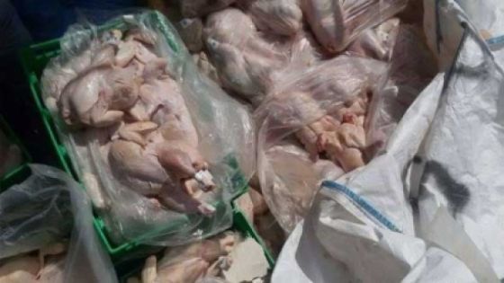 اتلاف دجاج فاسد في احد المطاعم كان معدا للبيع للمواطنين