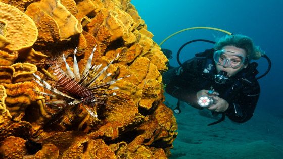 العقبة.. غياب السياح الأجانب يدخل قطاع الغوص في أزمة خانقة