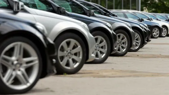دائرة الجمارك: التخليص على 800 مركبة يوميا في حرة الزرقاء