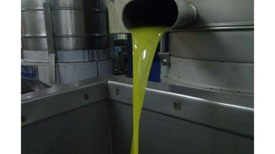 البحث الجنائي يضبط 100 تنكة زيت زيتون مغشوش بمعصرة في إربد