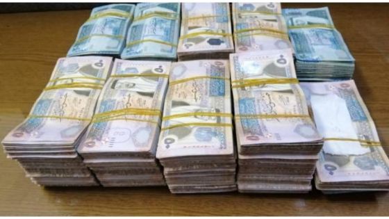 الهيئات الرقابية تتعامل بحرفية مع عملية اختلاس في وزارة المالية