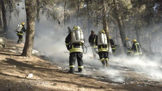 لمنع الحرائق وحماية الغابات .. إدارة الأزمات تطلق خطة الطوارئ وتدعو لرفع الجاهزية