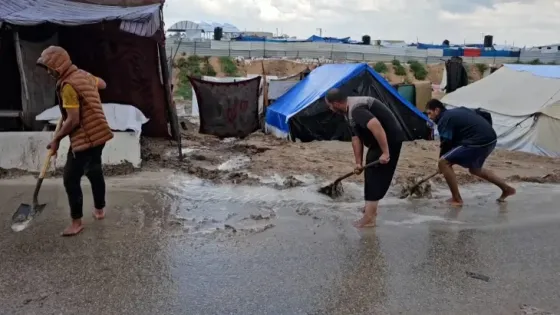 مأساة جديدة بغزة.. ليبتوسبيروز مرض تنقله الفئران والقوارض يهدد النازحين