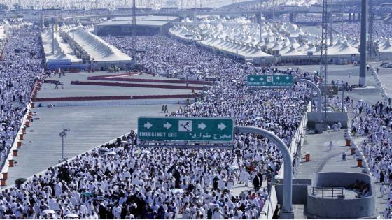 1.6 مليون حاج من 171 جنسية أدوا مناسك الحج 2025