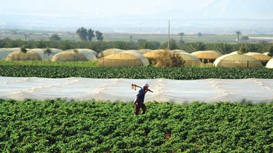 موجة الحرّ تهدد المزروعات في الأردن