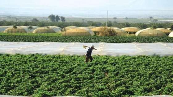 سلطة وادي الاردن : زيادة حصص وكميات مياه الري للمزارعين خلال الموجة الحارة المتوقعة 