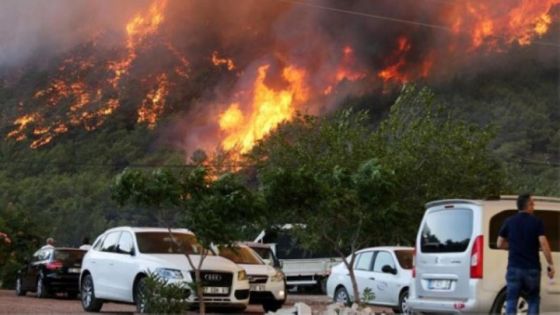أردوغان يعلن مناطق الحرائق جنوبي البلاد “منكوبة”