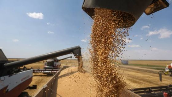 الزراعة الأوكرانية تحصد 35.2 مليون طن من الحبوب والبذور الزيتية الجديدة