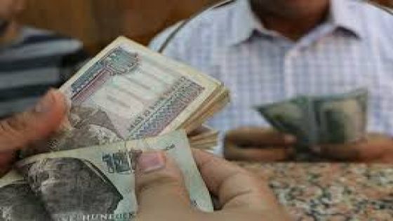 ماذا يعني طرح شهادات بنكية بفائدة 22% في مصر؟