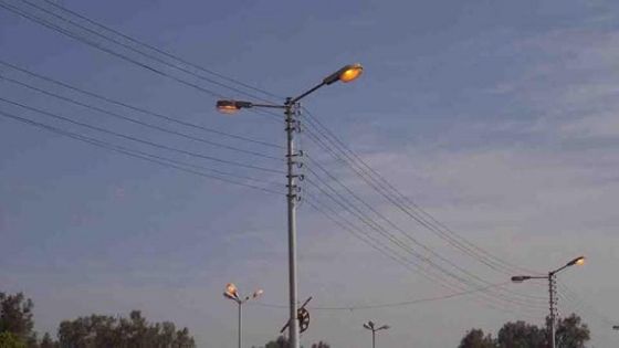 إنقاذ حمامة علقت على عمود للكهرباء في شفا بدران