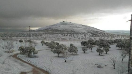 عاصفة ثلجية سيبيرية تضرب شمال سوريا وتمتد إلى العراق