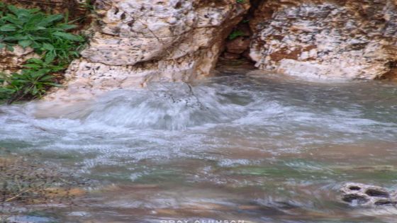 خبراء : أمطار الخير تعيد الحياة للينابيع وتعزّز التوازن البيئي