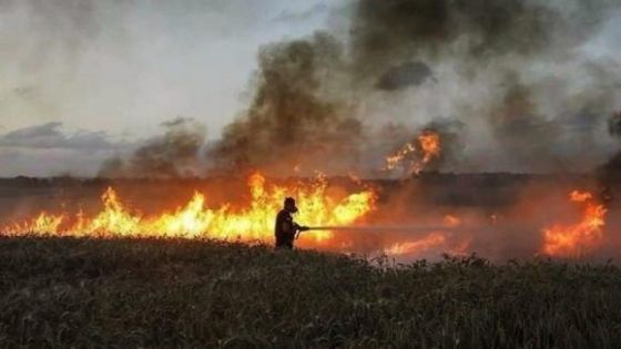 الدفاع المدني يتعامل مع امتداد حريق للأراضي الأردنية