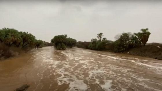 الأرصاد تحذر من تشكل السيول في شرق المملكة
