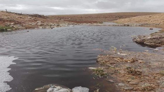 #عاجل شاهدوا : فيديو جديد لتلوث مياه سد الوالة
