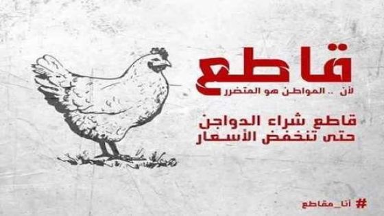 دعوات لمقاطعة شراء الدجاج في الأردن